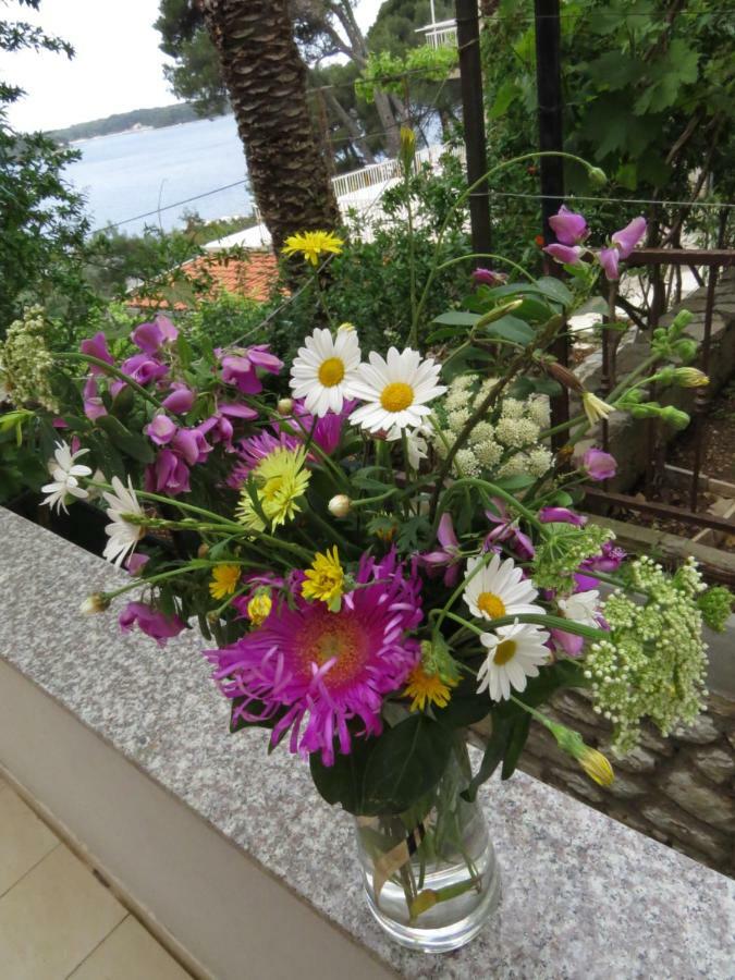 Great Apartment Mali Lošinj Eksteriør bilde